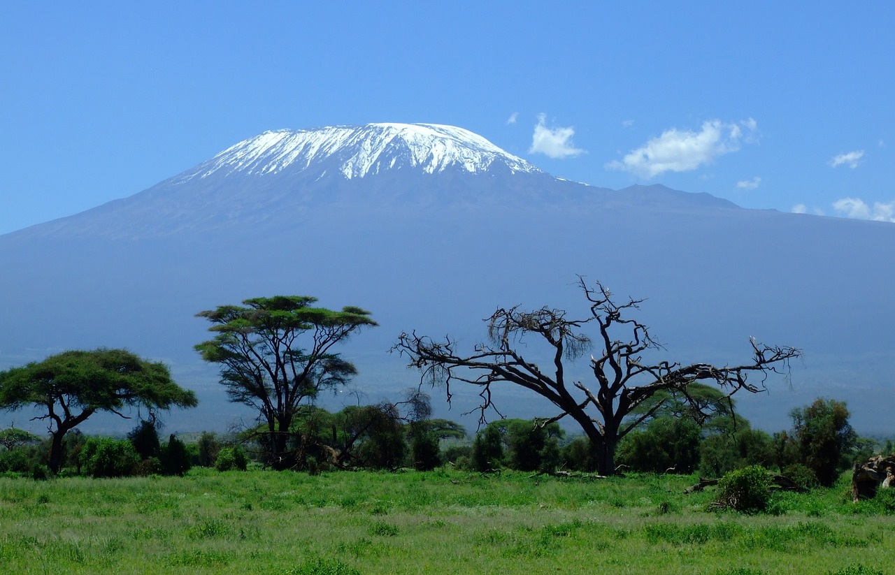 kilimanjaro